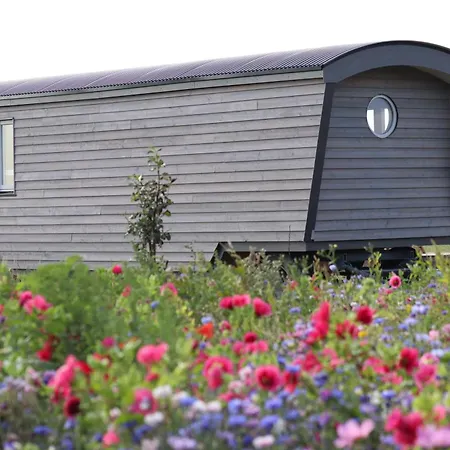 Hotel Schaeferwagen Tiny House Auf Dem Friesenhof Pellworm Exterior foto