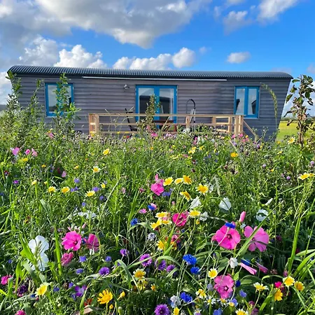 Hotel Schaeferwagen Tiny House Auf Dem Friesenhof Pellworm Exterior foto
