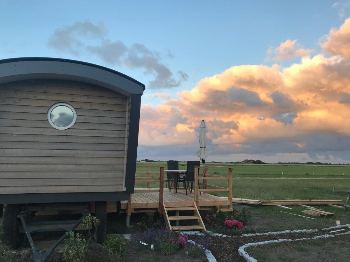 Campingplatz Schäferwagen Tiny House Auf Dem Friesenhof