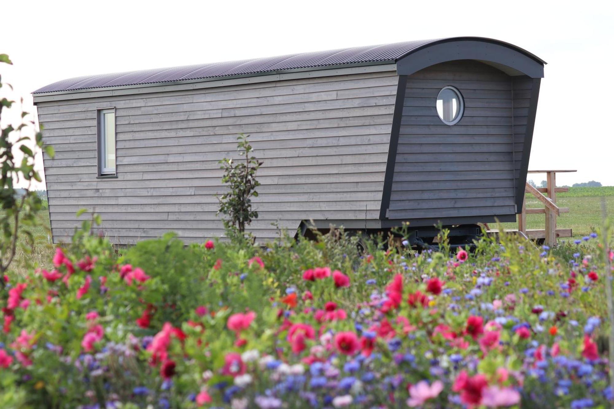 Campingplatz Schäferwagen Tiny House Auf Dem Friesenhof *