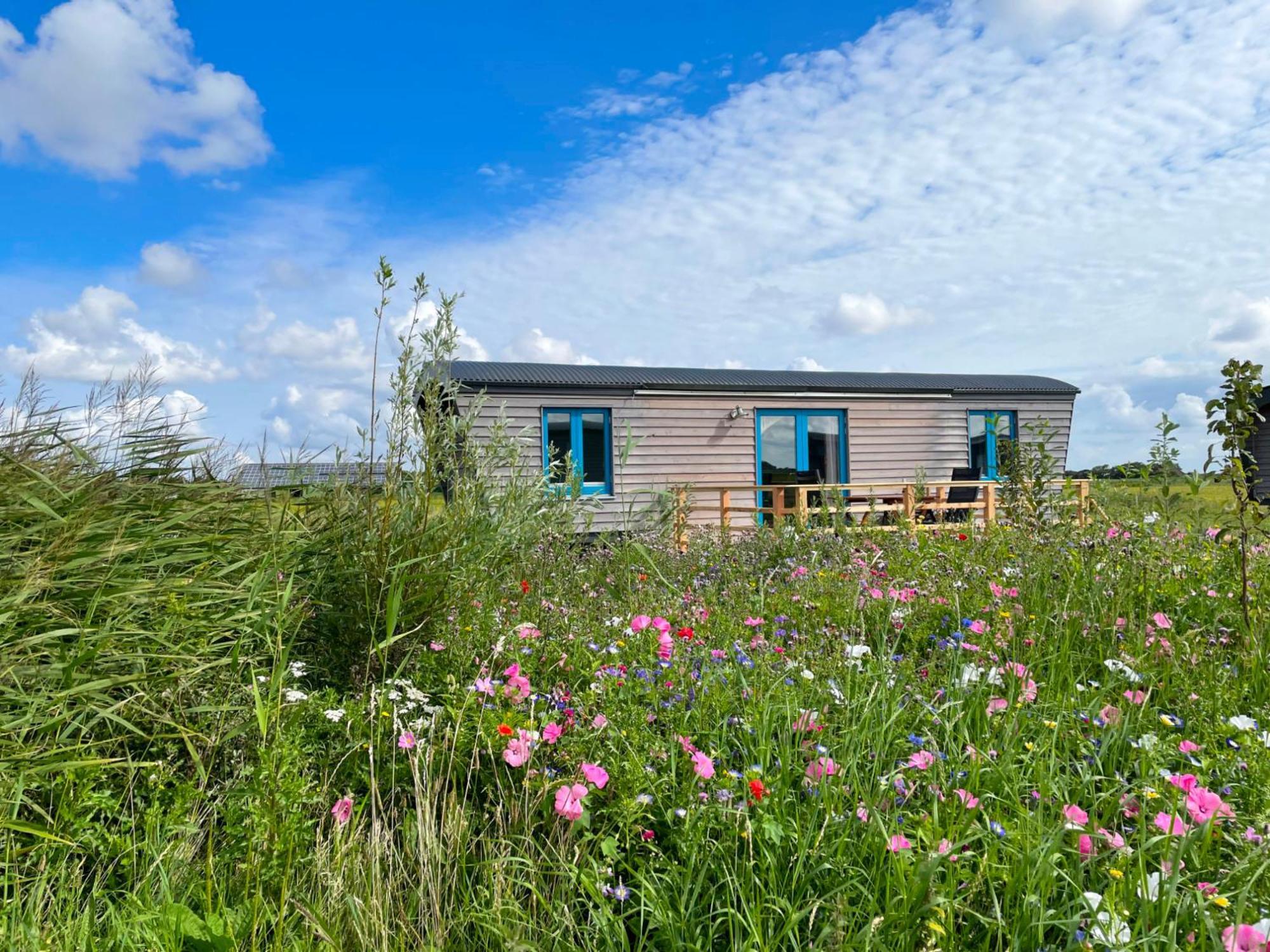 Schäferwagen Tiny House Auf Dem Friesenhof Campingplatz Pellworm