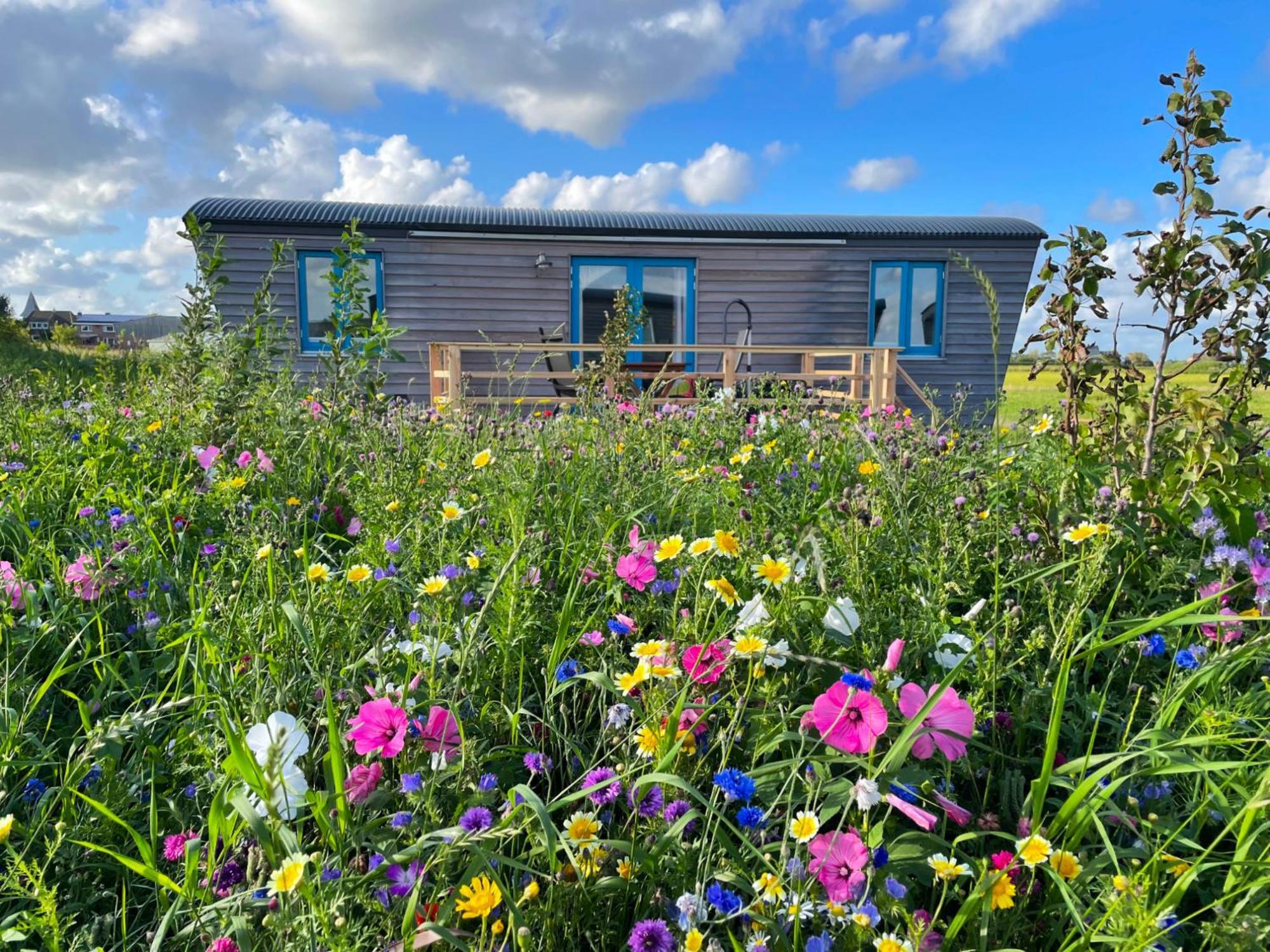 Campingplatz Schäferwagen Tiny House Auf Dem Friesenhof Pellworm
