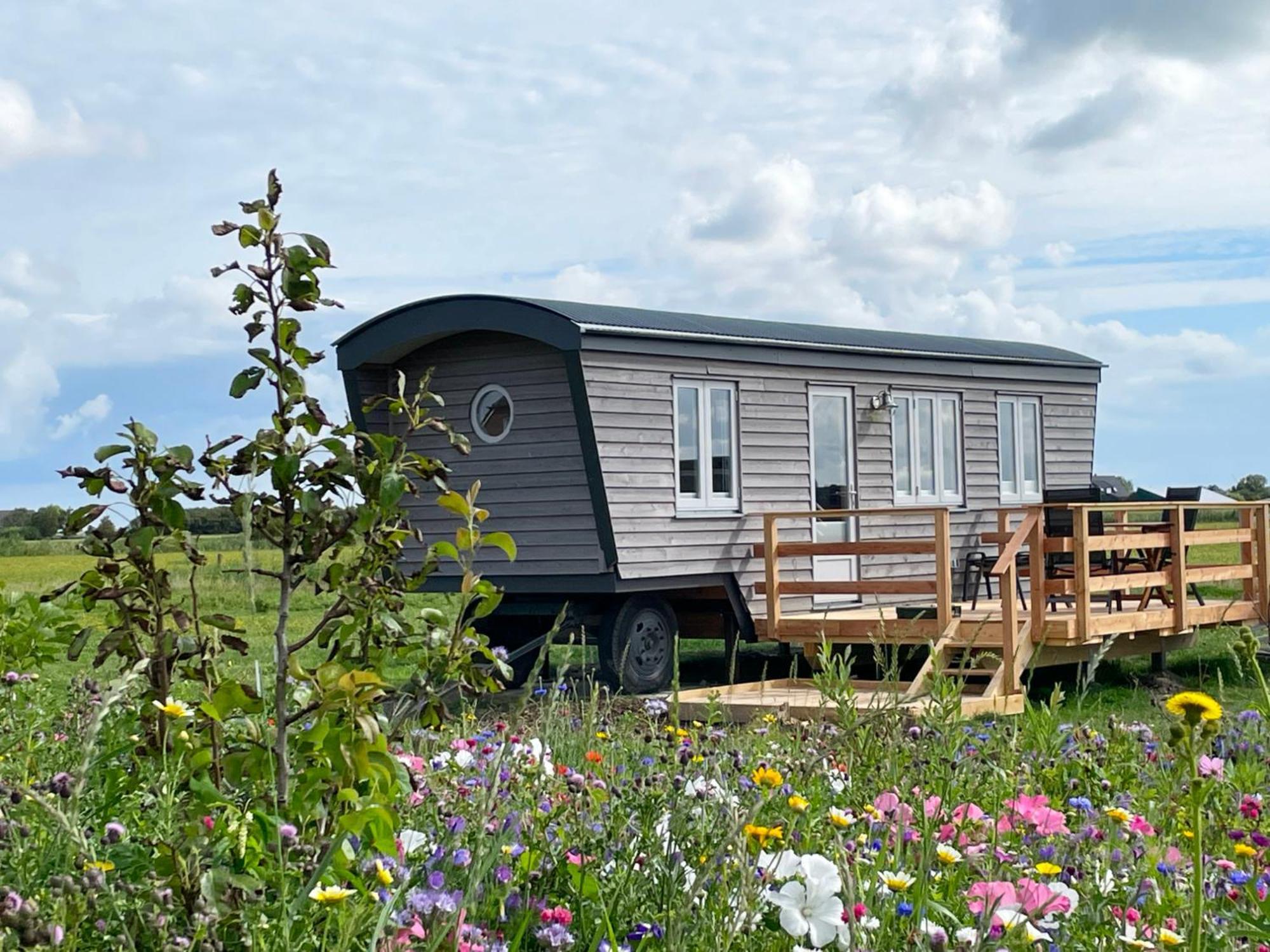 Schäferwagen Tiny House Auf Dem Friesenhof Campingplatz Pellworm
